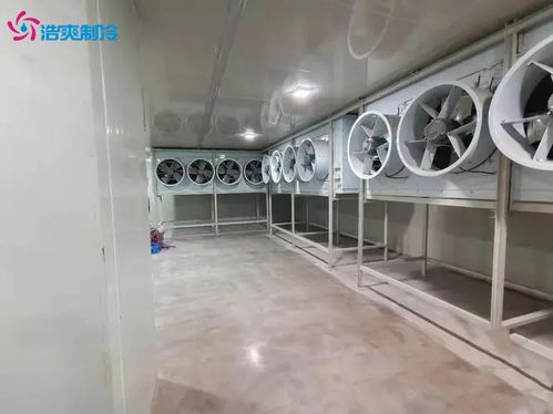肉類速凍冷庫 食品速凍冷庫的建造設(shè)計